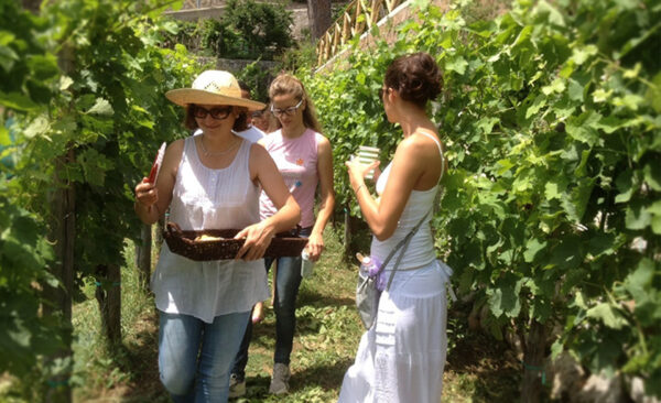 Wine Tour in Costiera Amalfitana