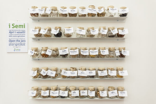 Museo della Dieta Mediterranea