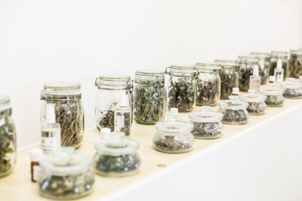 Museo della Dieta Mediterranea