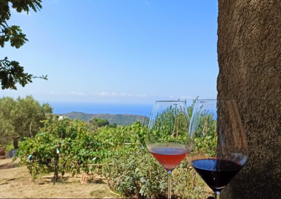 Tour Enogastronomico Essenza del Cilento