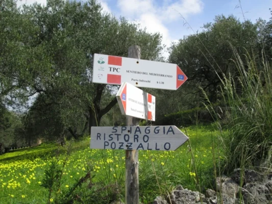 trekking e walking tour