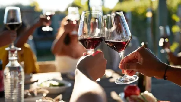Wine Tour Costiera Amalfitana
