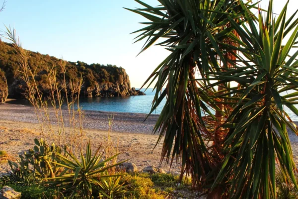 Hiking Trekking Tour in Cilento